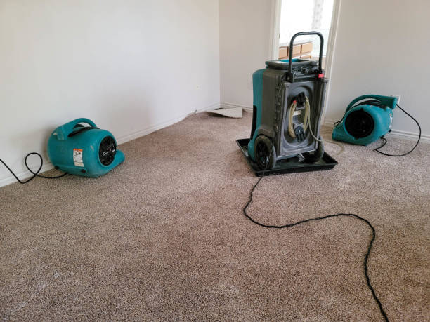 water damage cleanup